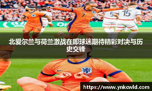北爱尔兰与荷兰激战在即球迷期待精彩对决与历史交锋